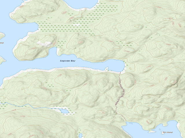 USGS topographic map of Upper Saranac Lake Site 15 (Saranac Lakes Wild Forest)