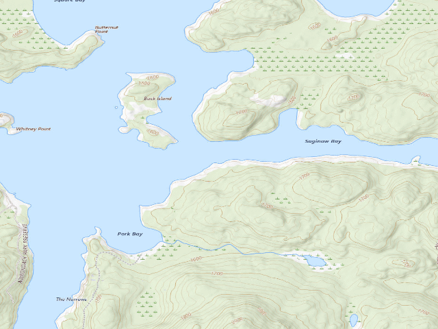 USGS topographic map of Upper Saranac Lake Site 16 (Saranac Lakes Wild Forest)