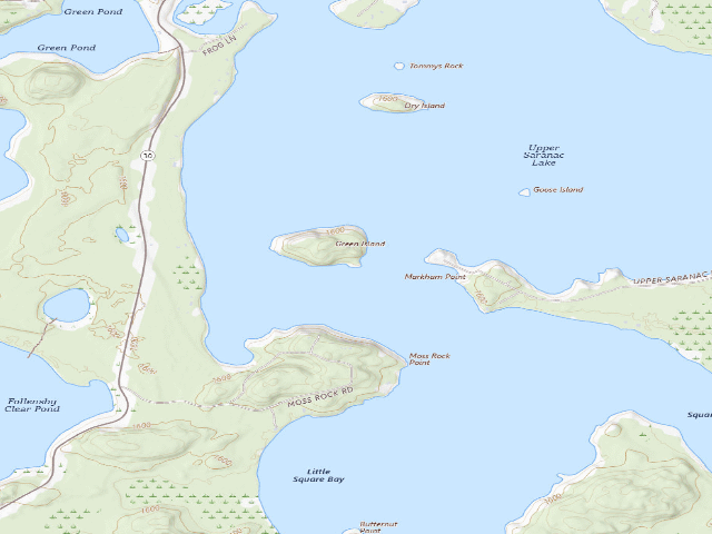 USGS topographic map of Upper Saranac Lake Site 2 (Saranac Lakes Wild Forest)