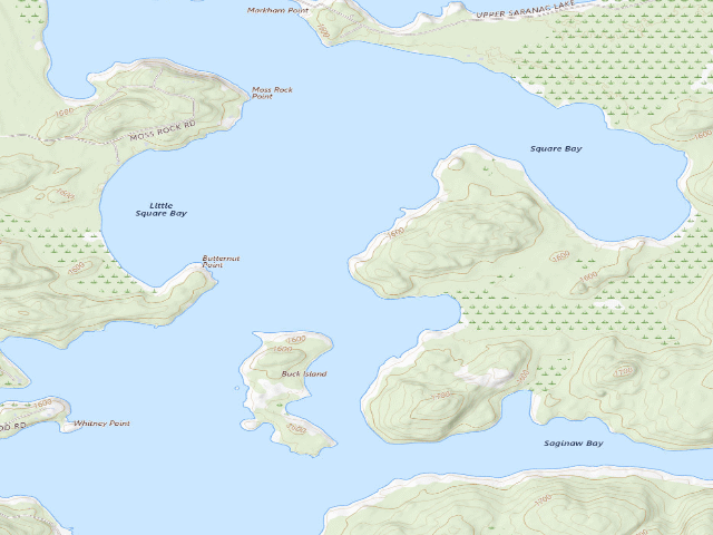 USGS topographic map of Upper Saranac Lake Site 5 (Saranac Lakes Wild Forest)