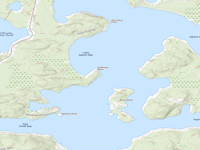 USGS topographic map of Upper Saranac Lake Site 6 (Saranac Lakes Wild Forest)