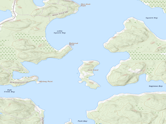 USGS topographic map of Upper Saranac Lake Site 7 (Saranac Lakes Wild Forest)