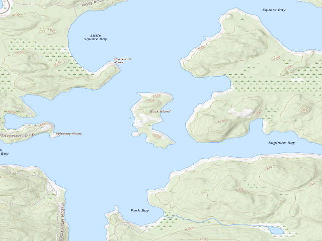 USGS topographic map of Upper Saranac Lake Site 8 (Saranac Lakes Wild Forest)