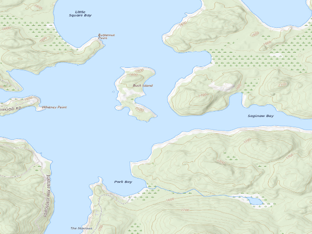 USGS topographic map of Upper Saranac Lake Site 9 (Saranac Lakes Wild Forest)