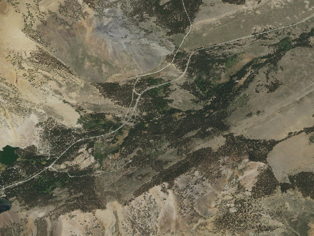Aerial image of Upper Virginia Creek Primitive Campground