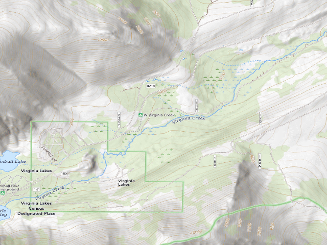 USGS topographic map of Upper Virginia Creek Primitive Campground