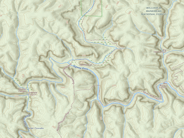 USGS topographic map of USFS dispersed camp #10 — Lawrence County, AL