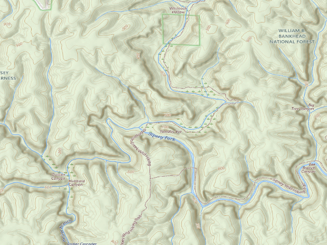 USGS topographic map of USFS dispersed camp #12 — Lawrence County, AL