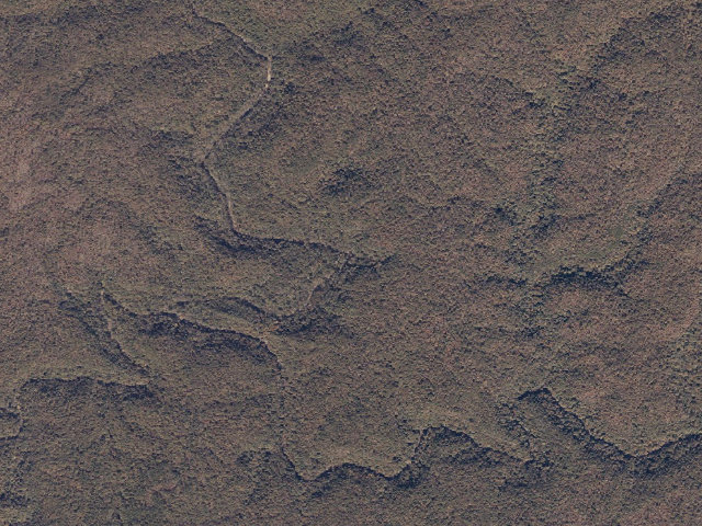 Aerial image of USFS dispersed camp #13 — Lawrence County, AL