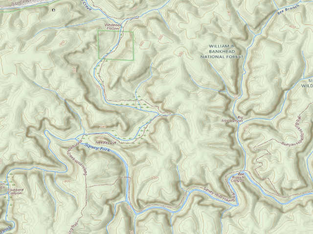 USGS topographic map of USFS dispersed camp #13 — Lawrence County, AL