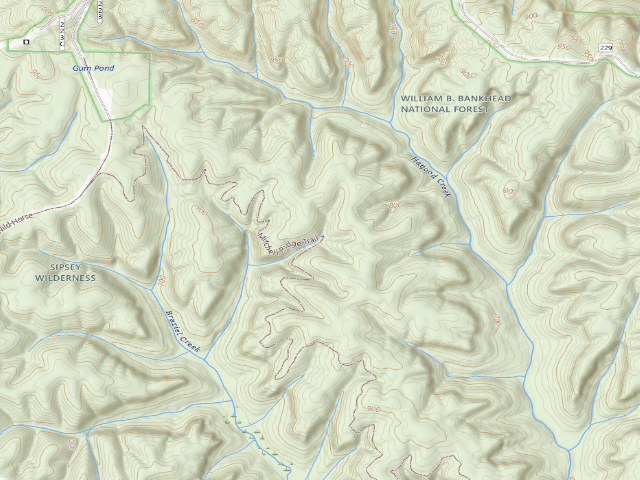 USGS topographic map of USFS dispersed camp #15 — Lawrence County, AL