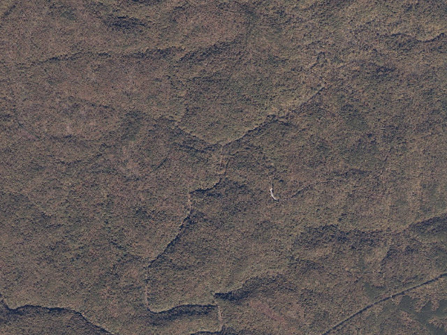 Aerial image of USFS dispersed camp #19 — Lawrence County, AL