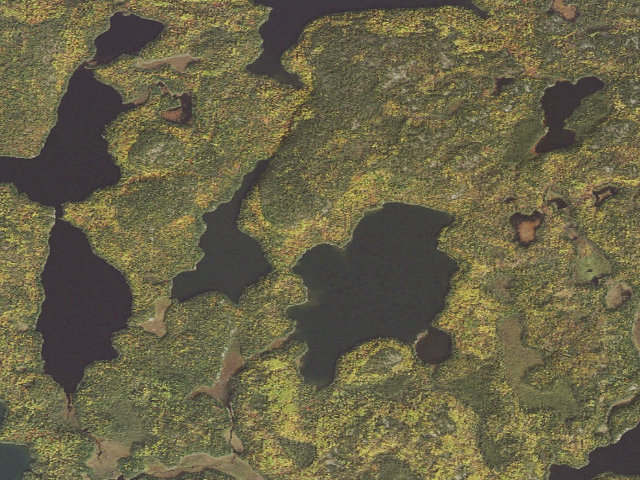 Aerial image of USFS dispersed camp #2 — St. Louis County, MN