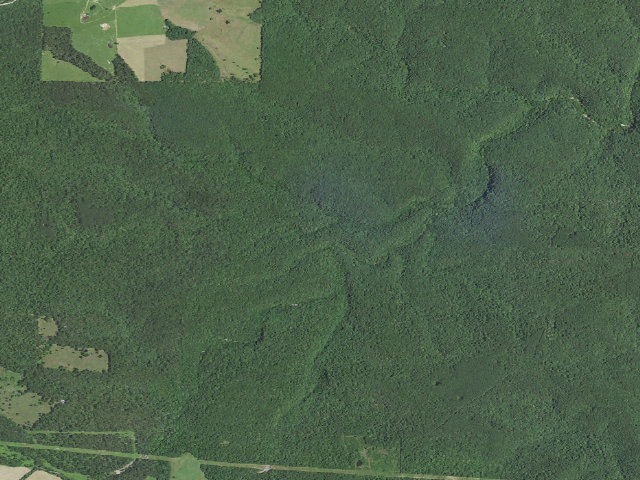Aerial image of USFS dispersed camp #2 — Texas County, MO
