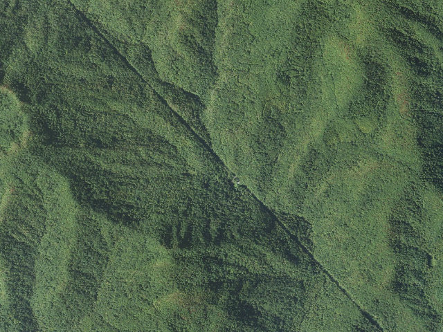 Aerial image of USFS dispersed camp #2 — Transylvania County, NC