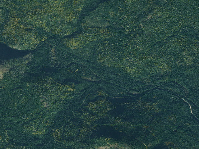 Aerial image of USFS dispersed camp #3 — Bonner County, ID