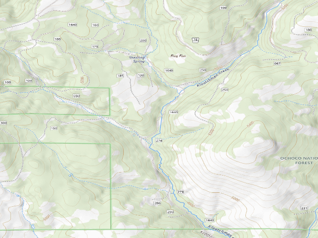 USGS topographic map of USFS dispersed camp #3 — Crook County, OR