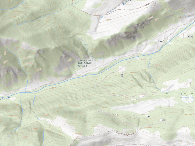 USGS topographic map of USFS dispersed camp #3 — Madison County, MT