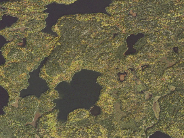 Aerial image of USFS dispersed camp #3 — St. Louis County, MN