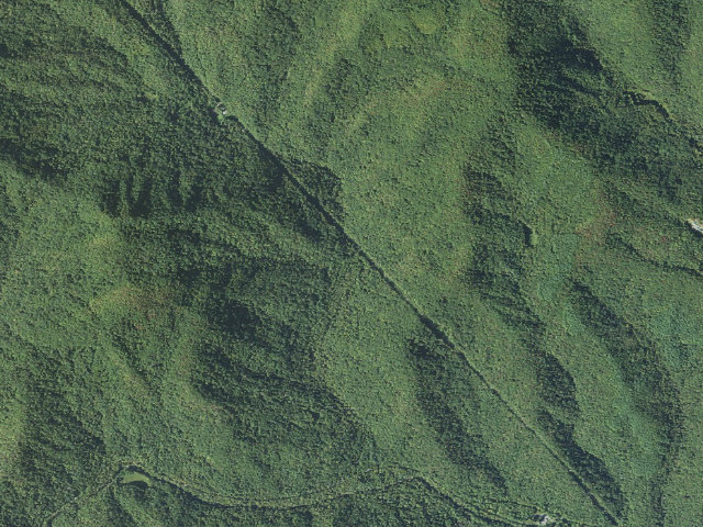 Aerial image of USFS dispersed camp #3 — Transylvania County, NC