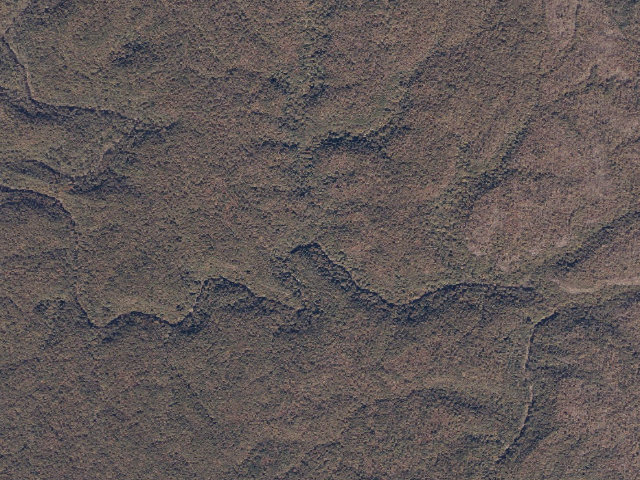Aerial image of USFS dispersed camp #4 — Lawrence County, AL