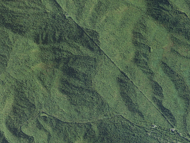 Aerial image of USFS dispersed camp #4 — Transylvania County, NC