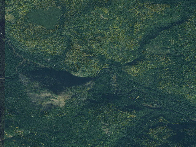 Aerial image of USFS dispersed camp #5 — Bonner County, ID
