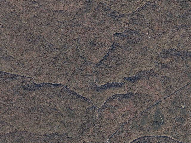 Aerial image of USFS dispersed camp #6 — Winston County, AL
