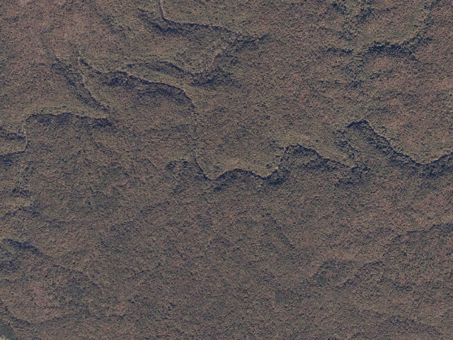 Aerial image of USFS dispersed camp #7 — Lawrence County, AL