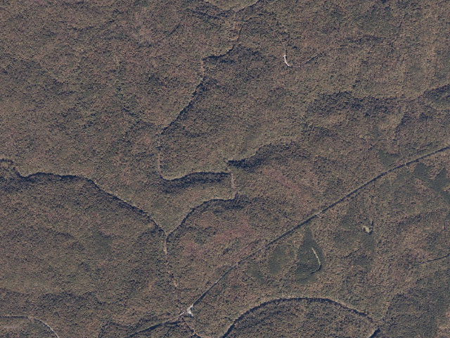 Aerial image of USFS dispersed camp #7 — Winston County, AL