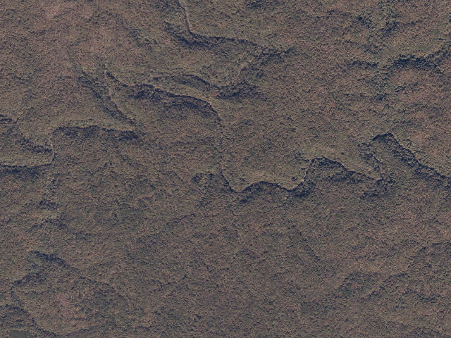 Aerial image of USFS dispersed camp #8 — Lawrence County, AL