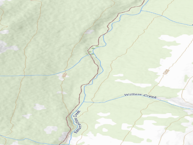 USGS topographic map of USFS dispersed camp #9 — Kenai Peninsula Borough, AK