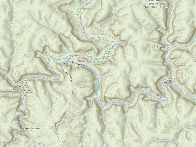 USGS topographic map of USFS dispersed camp #9 — Lawrence County, AL