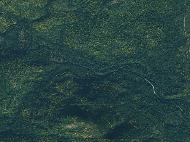 Aerial image of USFS dispersed camp — Bonner County, ID