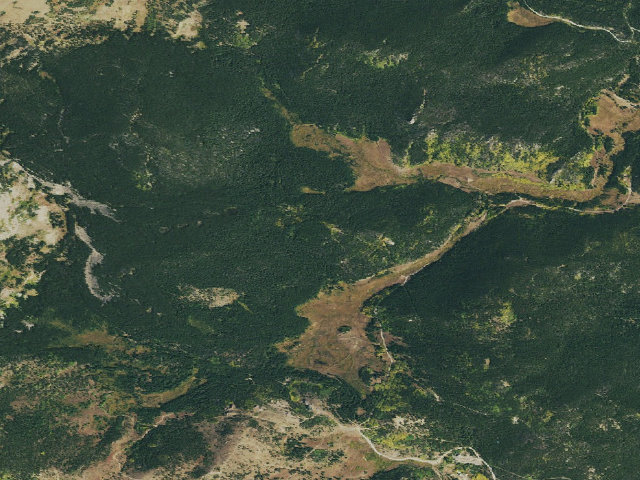 Aerial image of USFS dispersed camp — Boulder County, CO