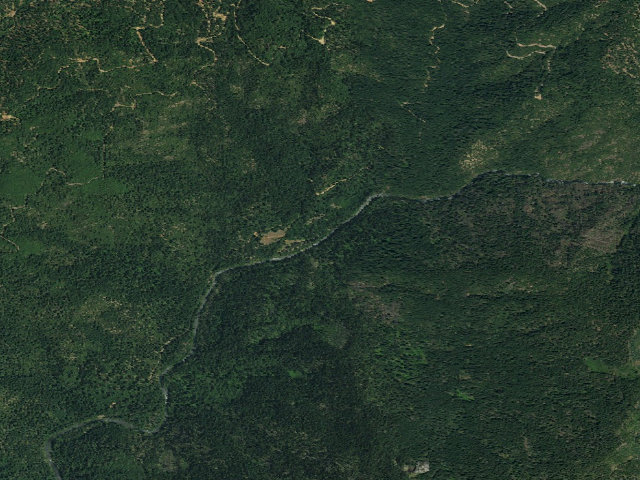 Aerial image of Dispersed camp, Shasta-Trinity National Forest, California