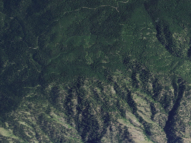 Aerial image of USFS dispersed camp — ID #100