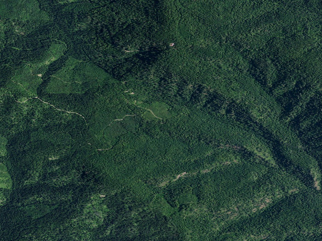 Aerial image of USFS dispersed camp — ID #102