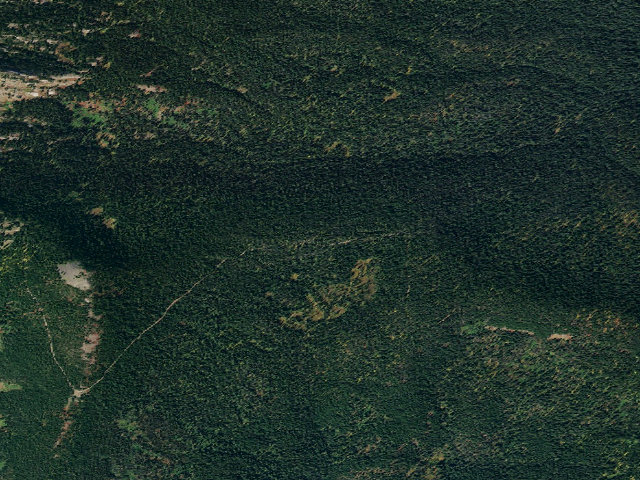 Aerial image of USFS dispersed camp — ID #104