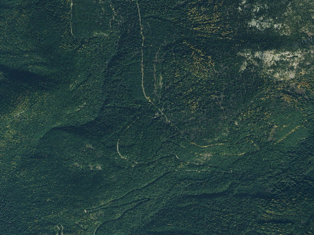 Aerial image of USFS dispersed camp — ID #11