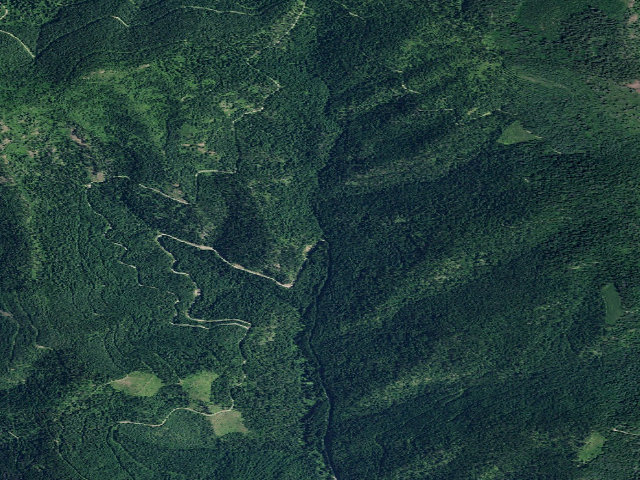 Aerial image of USFS dispersed camp — ID #110