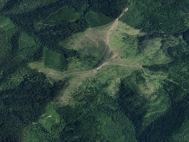 Aerial image of USFS dispersed camp — ID #111