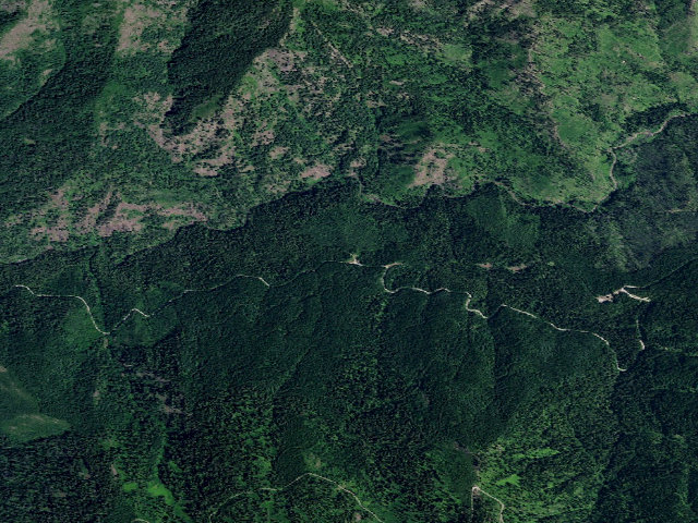 Aerial image of USFS dispersed camp — ID #113