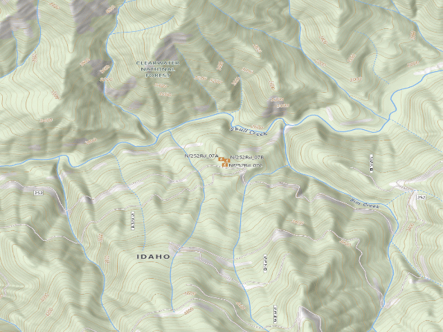 USGS topographic map of USFS dispersed camp — ID #113