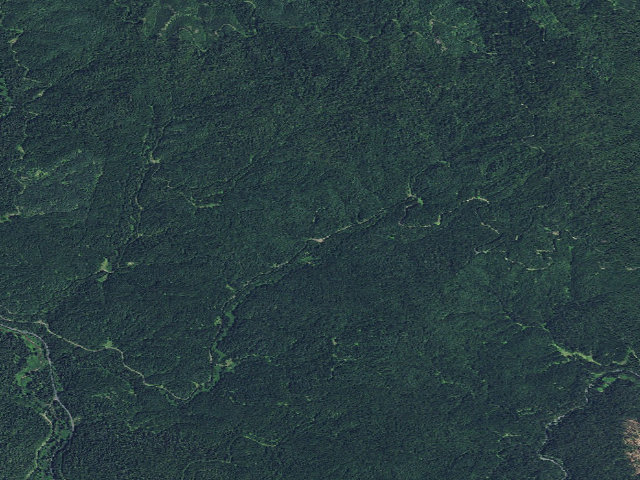 Aerial image of USFS dispersed camp — ID #116