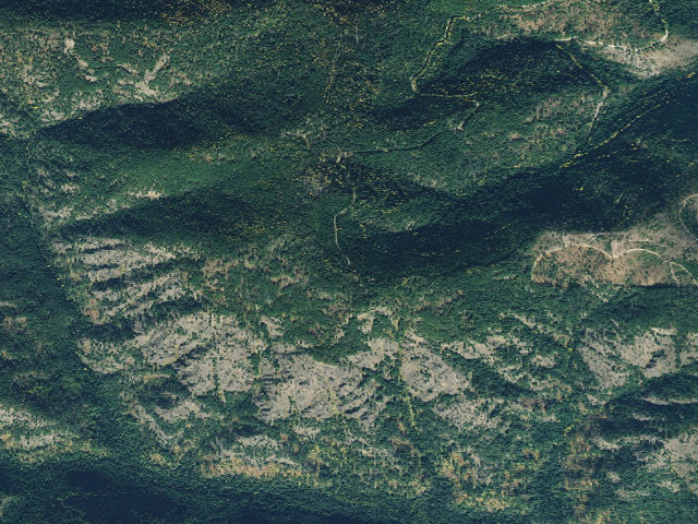 Aerial image of USFS dispersed camp — ID #117