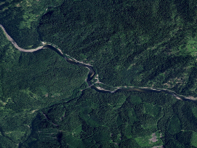 Aerial image of USFS dispersed camp — ID #118