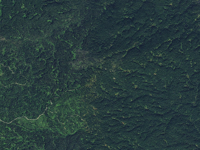 Aerial image of USFS dispersed camp — ID #121