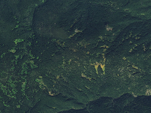 Aerial image of USFS dispersed camp — ID #122