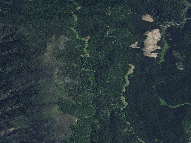 Aerial image of USFS dispersed camp — ID #123